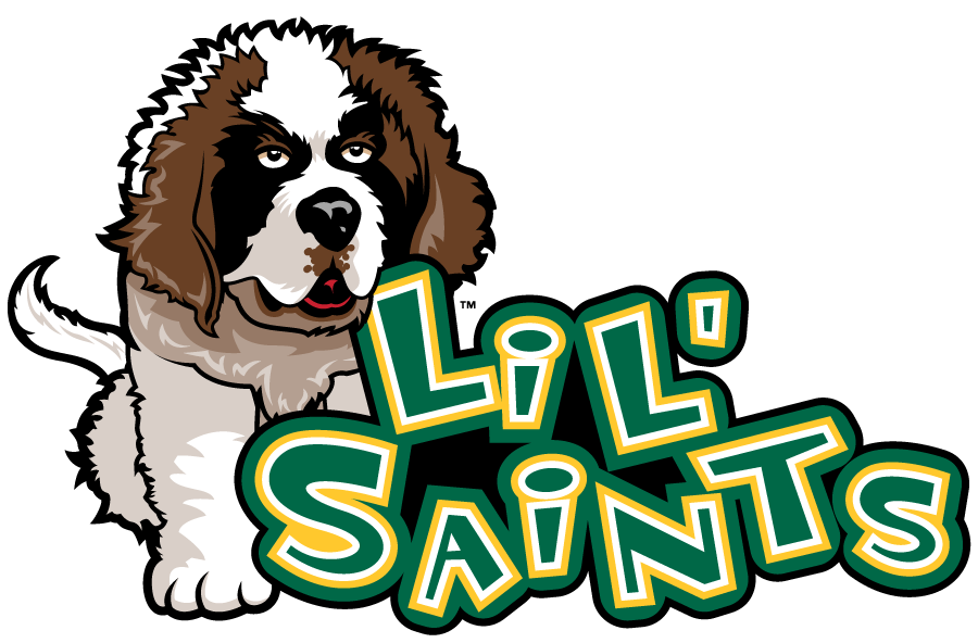 Siena Saints 2011-2023 Mascot Logo diy iron on heat transfer